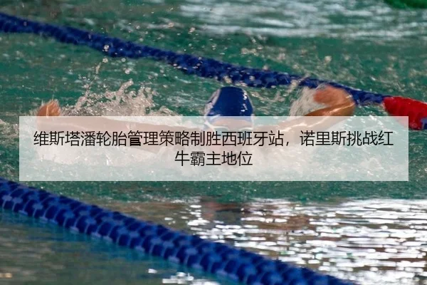 wei-si-ta-pan-lun-tai-guan-li-ce-lve-zhi-sheng-xi-ban-ya-zhan-nuo-li-si-tiao-zhan-hong-niu-ba-zhu-di-wei-3-215.jpg